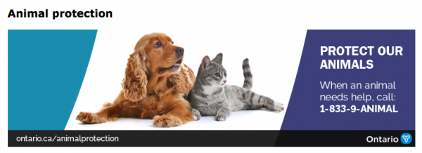 Screen Shot 2019-10-30 at 12.38.07 PM