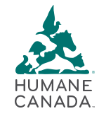 Screen Shot 2019-10-30 at 12.36.23 PM